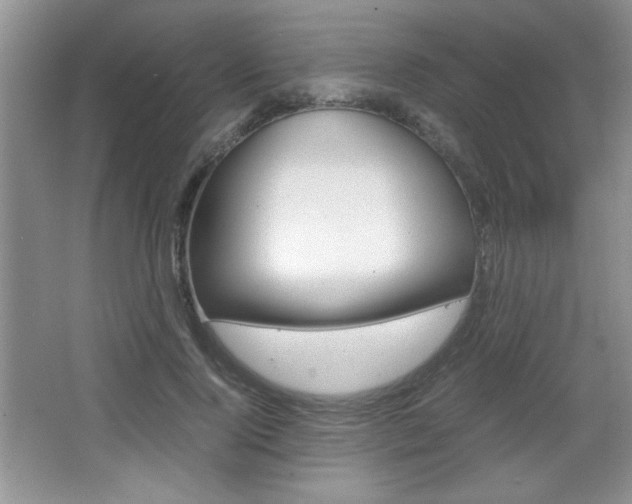X0000067830740200604130918