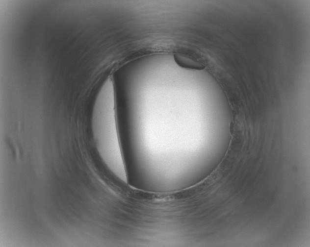 X0000067830744200604130918