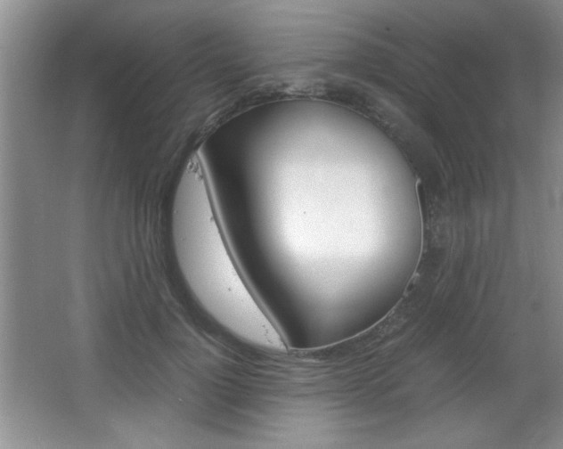 X0000067830748200604130918
