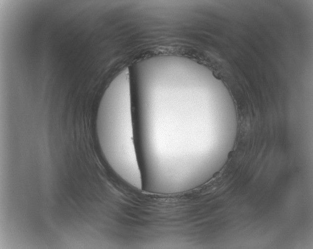 X0000067830749200604130918