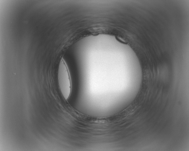 X0000067830751200604130918