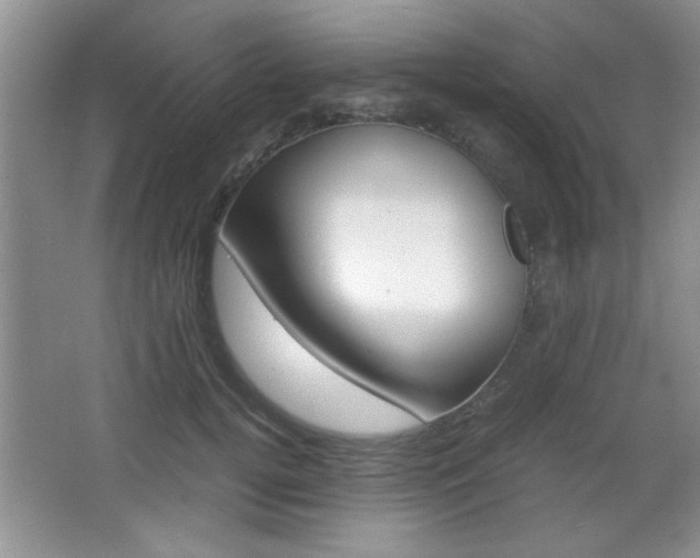 X0000067830752200604130918