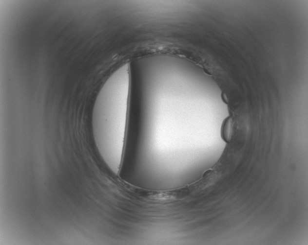 X0000067830754200604130918