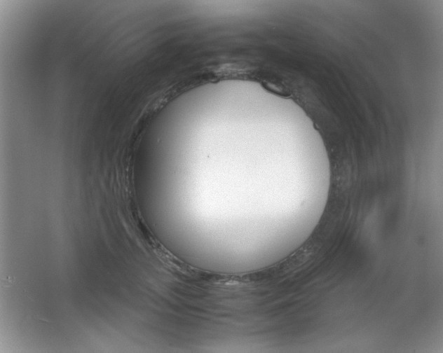 X0000067830755200604130918