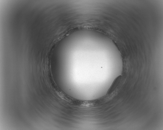 X0000067830760200604130918