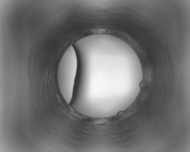 X0000067830761200604130918