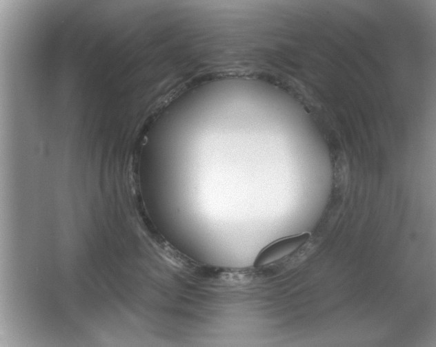 X0000067830764200604130918