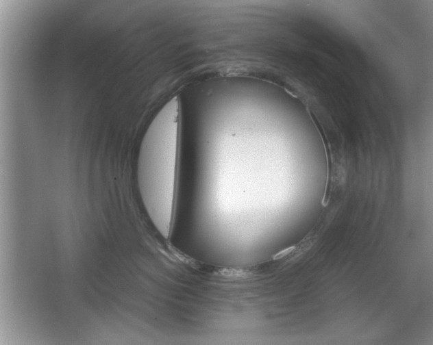 X0000067830766200604130918