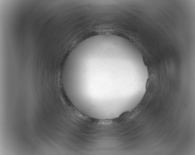 X0000067830767200604130918