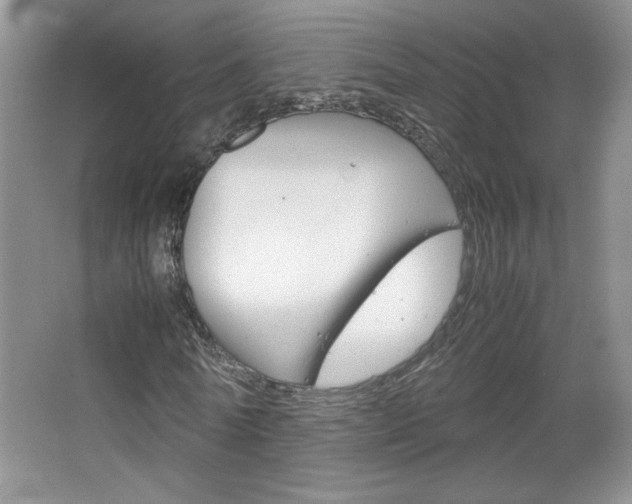 X0000067830770200604130917