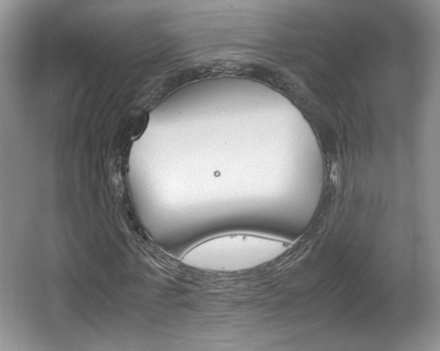 X0000067830771200604130917