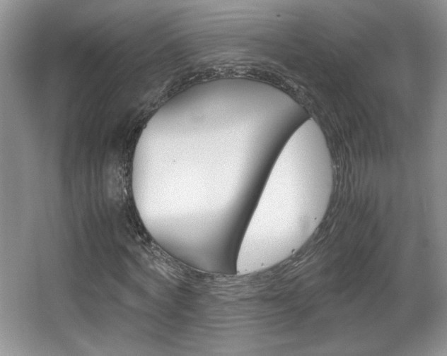 X0000067830772200604130917