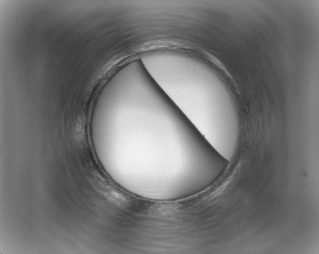 X0000067830778200604130917
