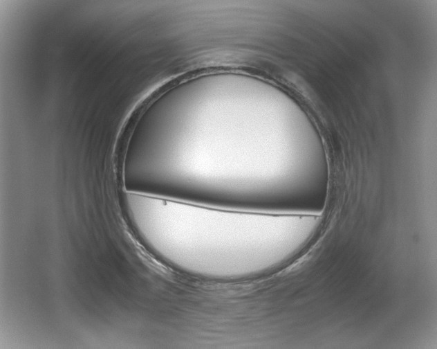 X0000067830779200604130917