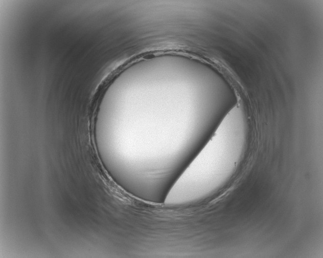 X0000067830781200604130917