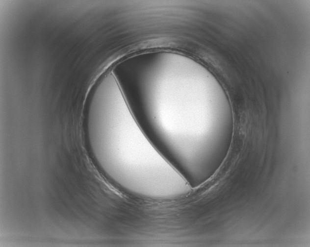 X0000067830786200604130917