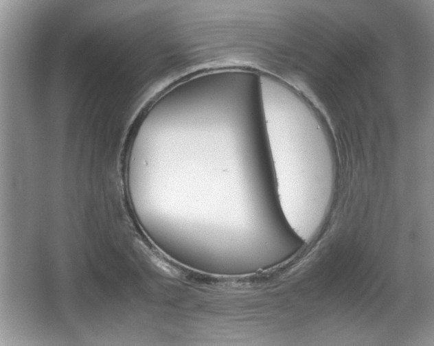 X0000067830789200604130917