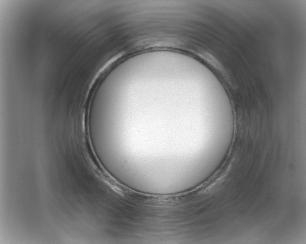 X0000067830790200604130917