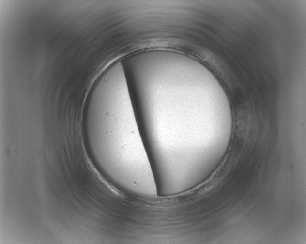 X0000067830794200604130917