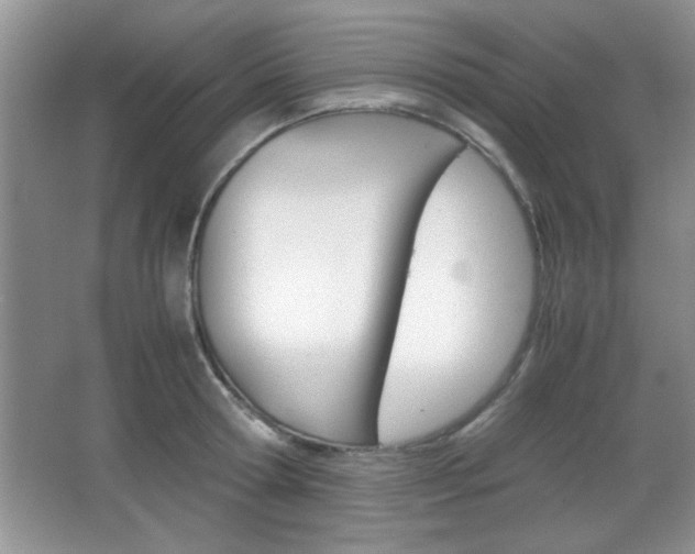 X0000067830802200604130917