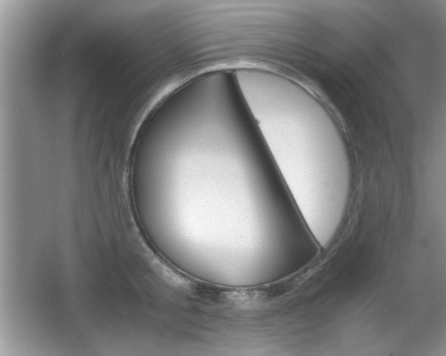 X0000067830805200604130917