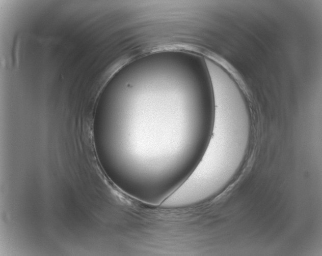 X0000067830809200604130917