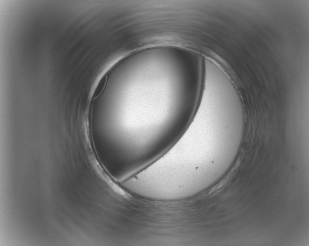 X0000067830812200604130917