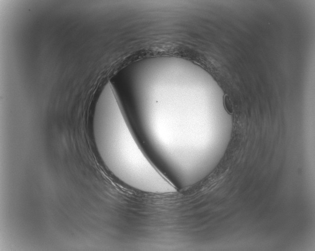 X0000067830817200604130916