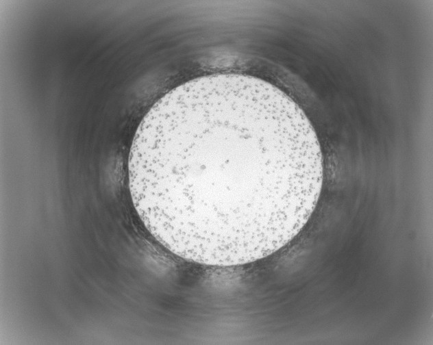 X0000067830820200604130916