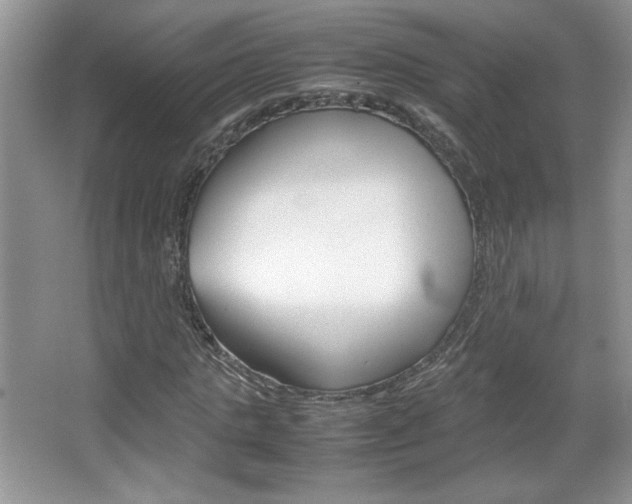 X0000067830821200604130916