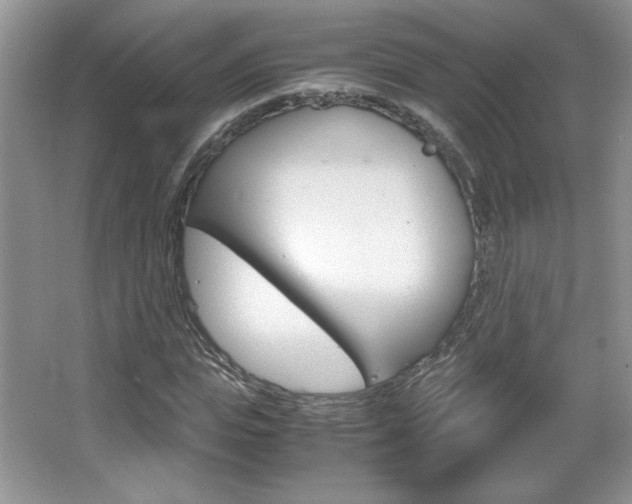 X0000067830823200604130916