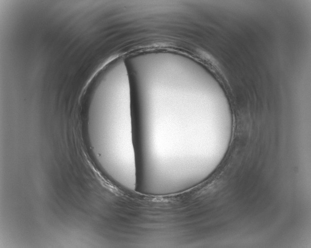 X0000067830827200604130916