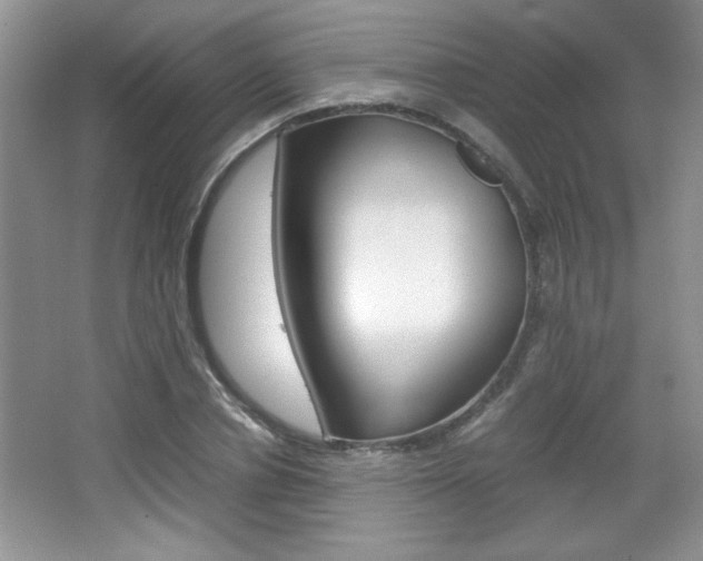 X0000067830834200604130916
