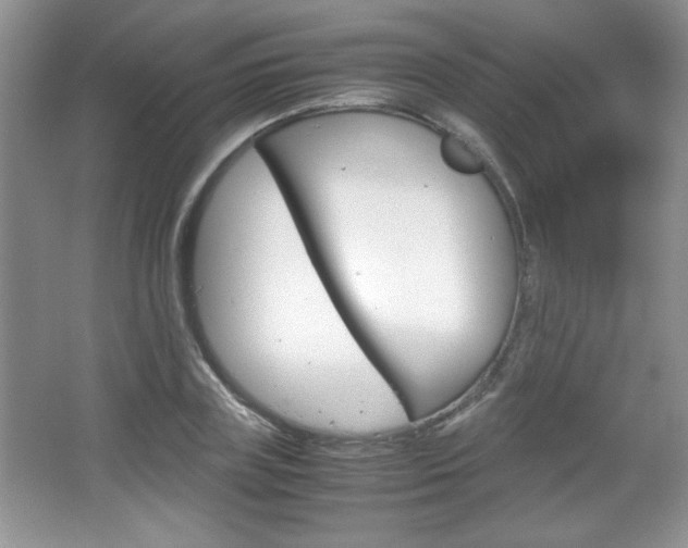 X0000067830835200604130916
