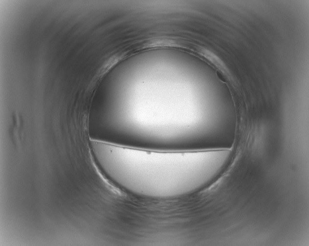 X0000067830849200604130916