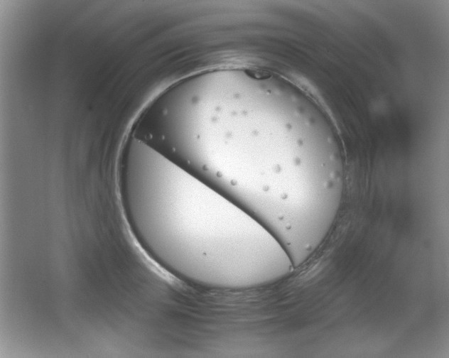 X0000067830851200604130916