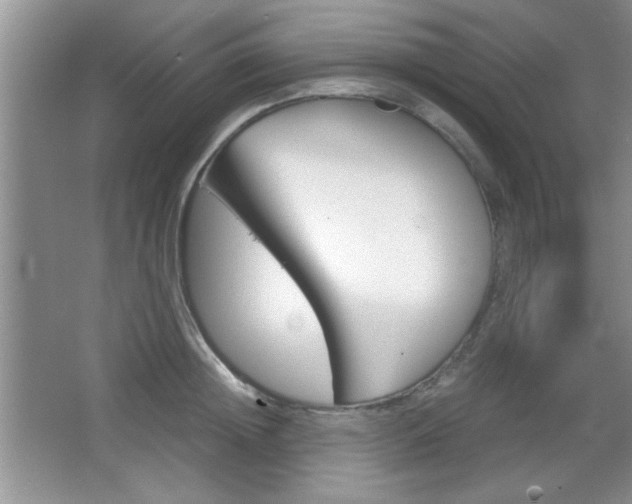 X0000067830852200604130916