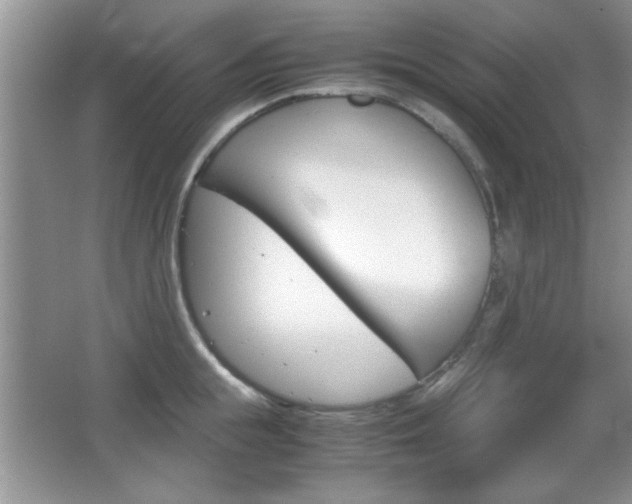 X0000067830855200604130916