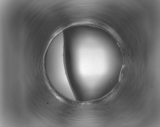 X0000067830858200604130916
