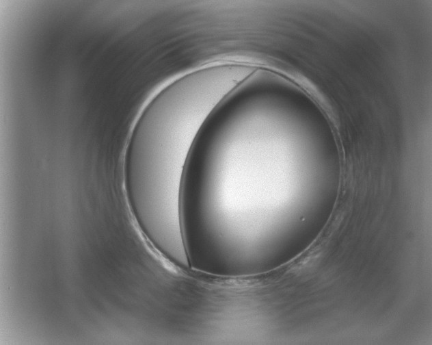X0000067830862200604130916