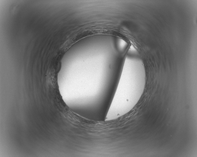 X0000067830867200604130916