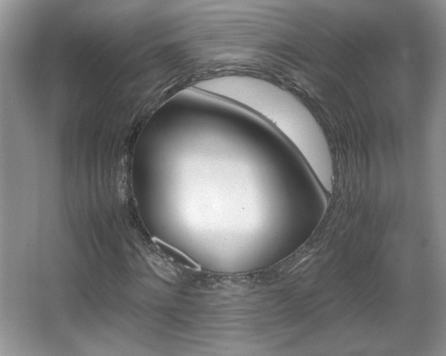 X0000067830868200604130916