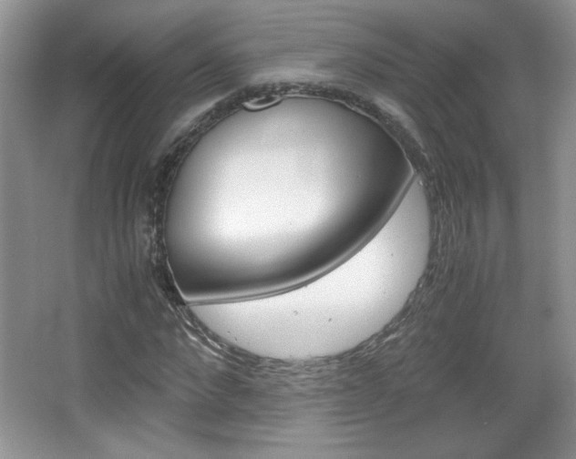 X0000067830872200604130916