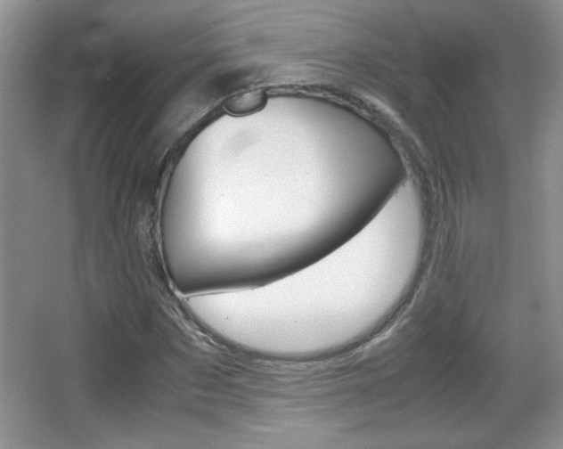 X0000067830873200604130916