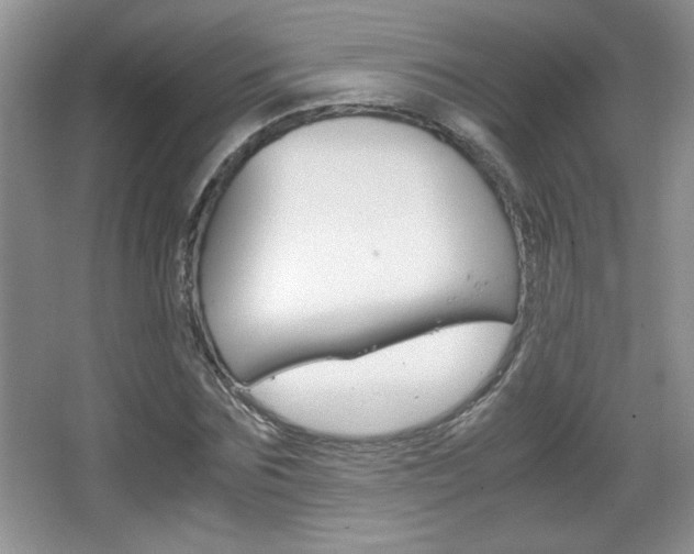 X0000067830875200604130916