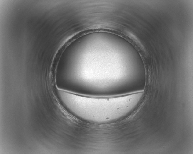 X0000067830876200604130916