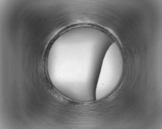X0000067830879200604130915