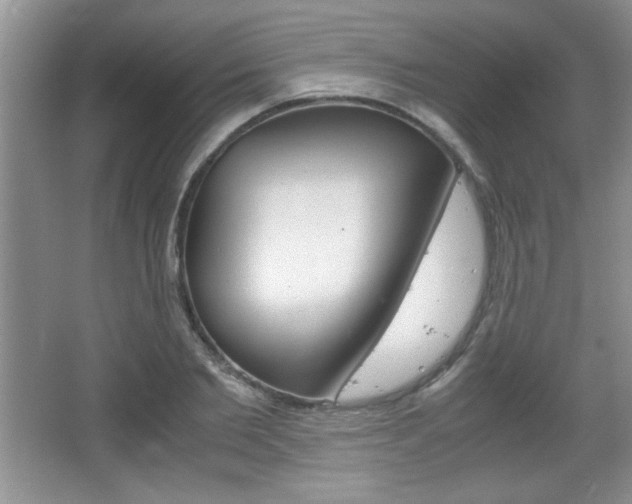 X0000067830885200604130915