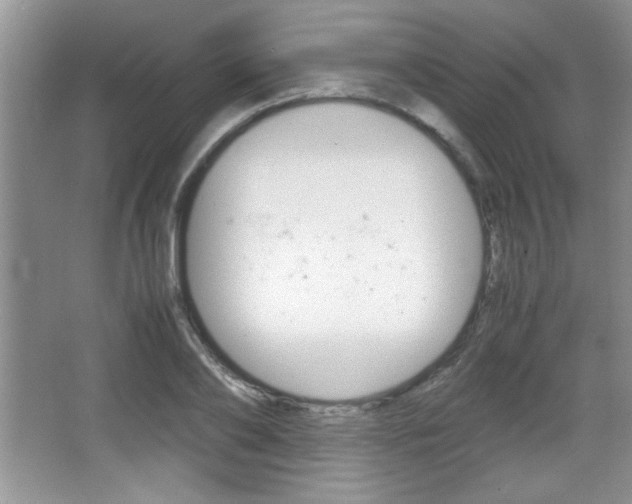 X0000067830886200604130915