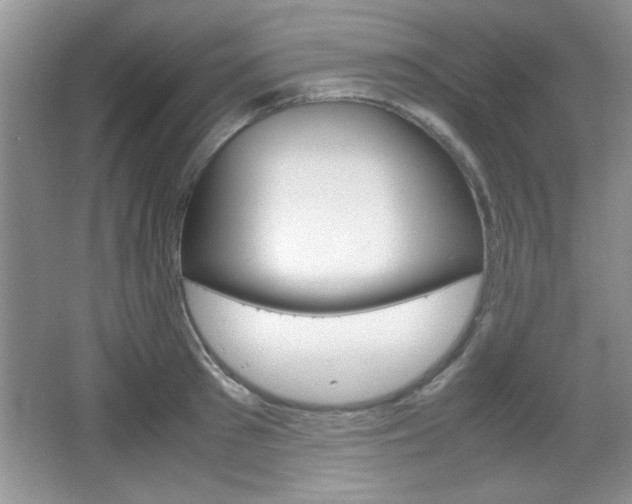 X0000067830897200604130915